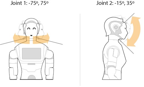 _images/08_Head_joints.jpg