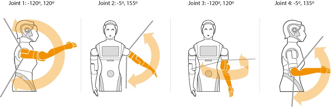../_images/ari_arms_joints.jpg