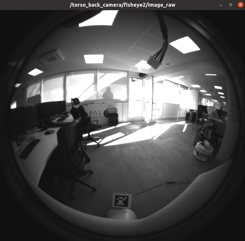../_images/ari_cameras_image_view_sample.png