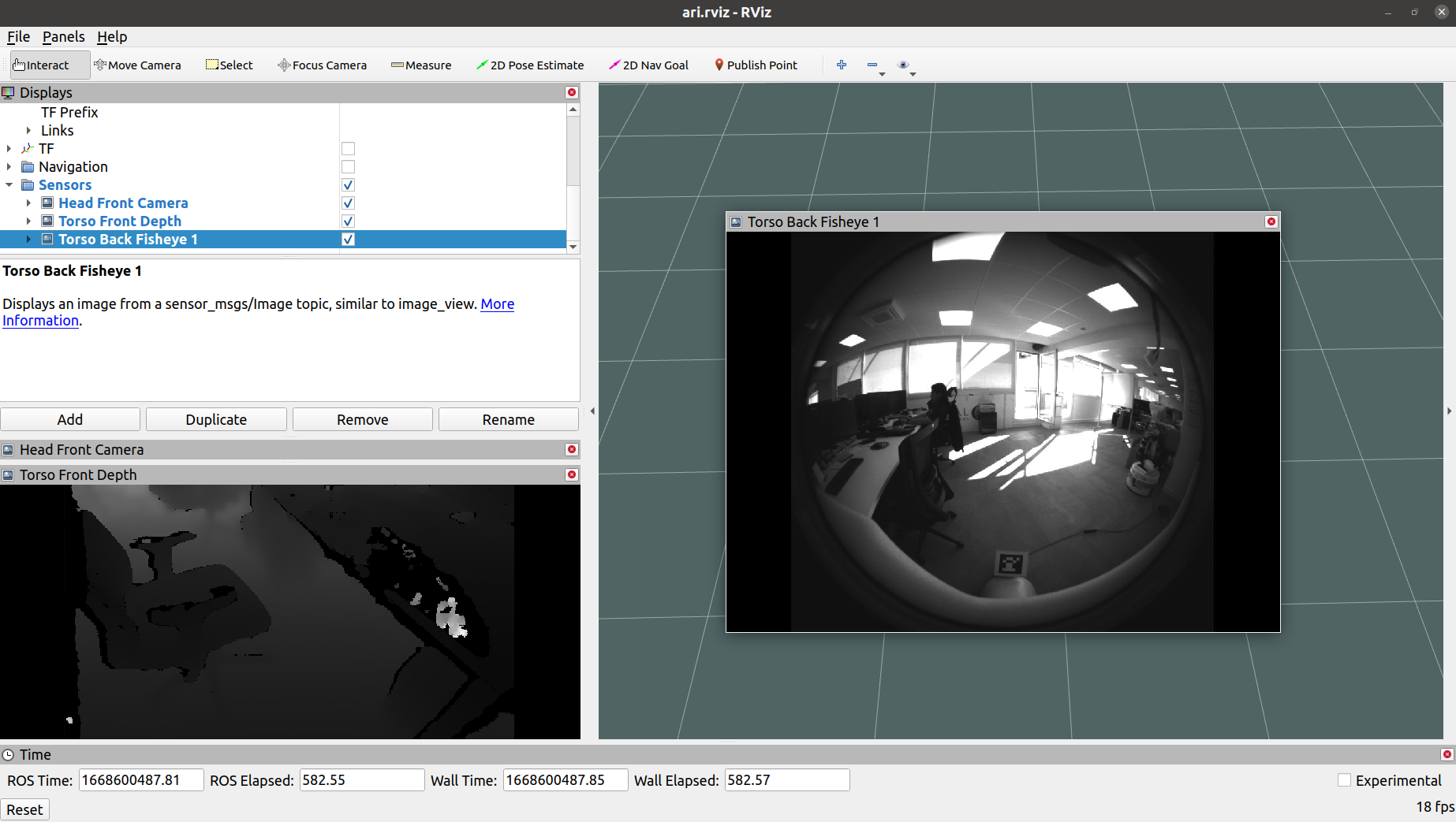 ../_images/ari_cameras_rviz_sample.png