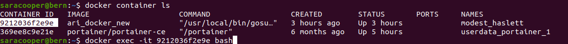 ../_images/docker_exec.png