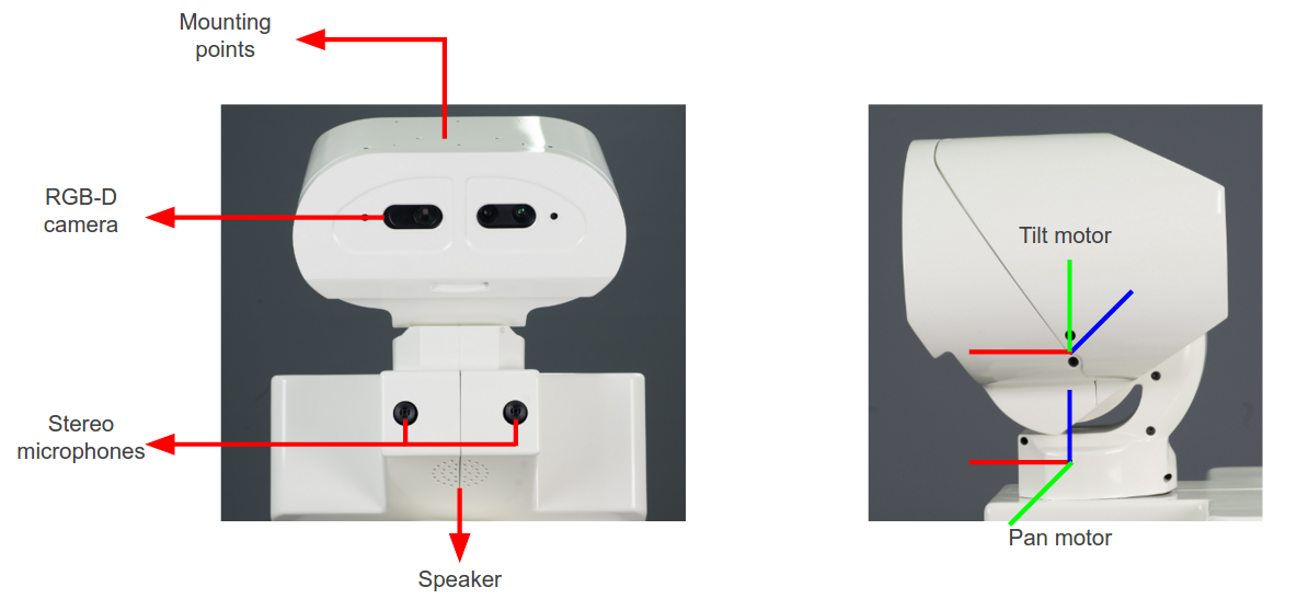 _images/Head_parts.png