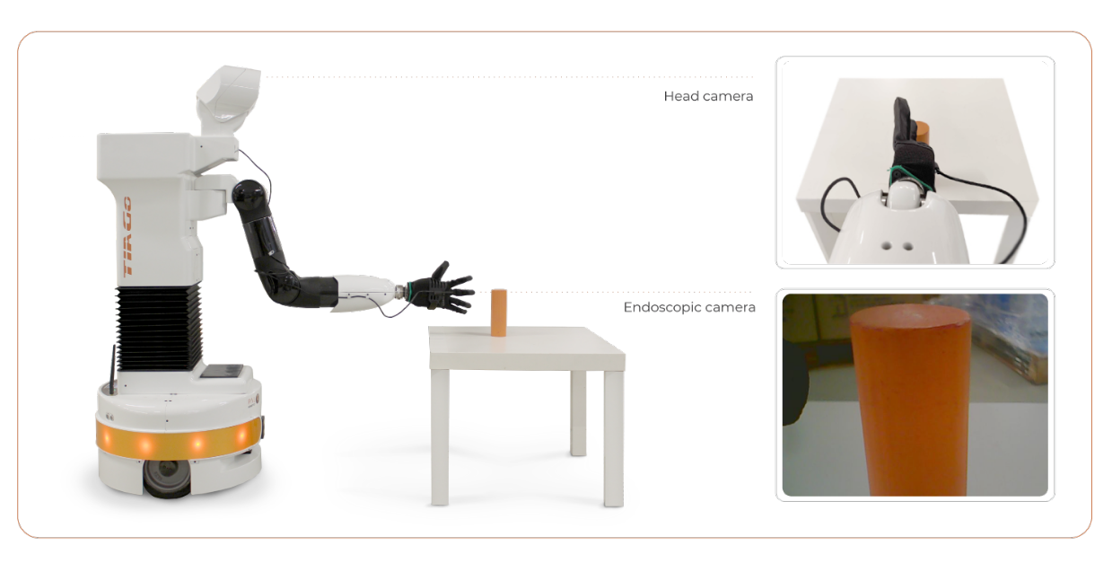_images/example.png